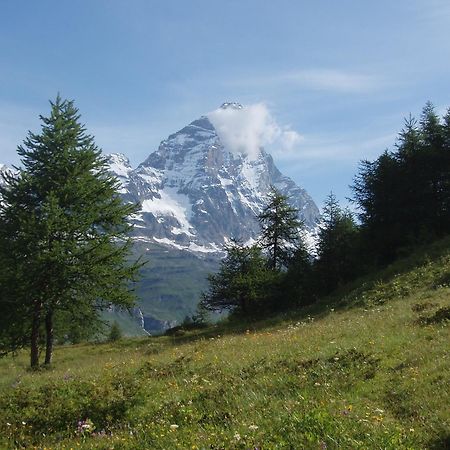 B&B A Pankeo Valtournenche Bagian luar foto