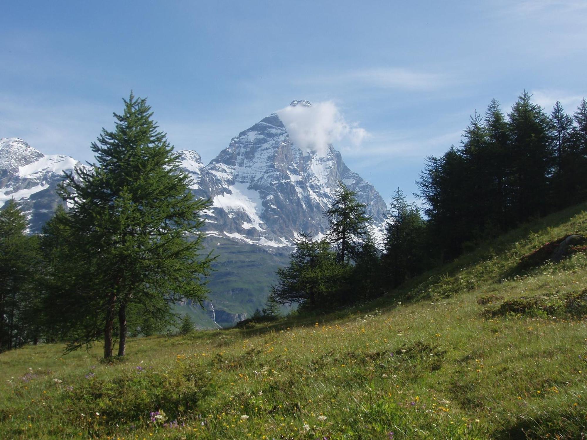 B&B A Pankeo Valtournenche Bagian luar foto